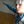 Load image into Gallery viewer, THE FARTHEST POINT ON THE COMPASS / LA BOUSSOLE