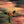 Load image into Gallery viewer, STATES OF BEING