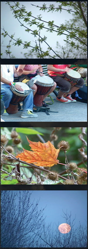 100 VIEWS OF MONT ROYAL