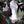 Load image into Gallery viewer, 110 HOLSTEINS