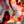 Load image into Gallery viewer, BESTIAS