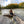 Load image into Gallery viewer, EXILÉ CHEZ MOI