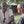 Load image into Gallery viewer, LA FÊTE DES PÈRES / FATHER'S DAY