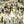 Load image into Gallery viewer, STORY OF A LITTLE TOWN / TOUT PRÈS DE VOUS