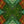 Load image into Gallery viewer, EXTRAIT SUITE ANAMORPHOSE