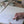 Load image into Gallery viewer, AQUIFÈRE CONFIANCE... / WATER WE DRINKING?