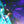 Load image into Gallery viewer, GOLDEN TUNA - MONTREAL SESSIONS
