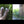 Load image into Gallery viewer, WALKING TAMIANI TRAIL