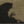 Load image into Gallery viewer, I’M NOT AFRAID OF ANYTHING