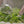 Load image into Gallery viewer, | FIBERS | NOS CORDES ONT DES AILES
