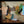 Load image into Gallery viewer, BEAM ME UP (ELAINE)