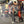 Load image into Gallery viewer, CHAMANIKA URBANA