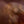 Load image into Gallery viewer, CHAMANIKA URBANA