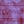Load image into Gallery viewer, 1901 VOTES FOR WOMEN