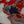 Load image into Gallery viewer, HITCHCOCK DISHING