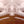 Load image into Gallery viewer, FEVERED