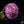 Load image into Gallery viewer, GREEN TEA CUP: COLLECTIVITIES / LA TASSE VERTE : COLLECTIVITÉS