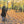 Load image into Gallery viewer, BEFRIENDING DEATH / LA MORT COMME UNE AMIE