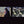 Load image into Gallery viewer, IN MEMORY OF THE BIRDS / À LA MÉMOIRE DES OISEAUX