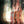 Load image into Gallery viewer, DUSHANBE