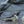 Load image into Gallery viewer, LAND/ESCAPES
