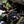 Load image into Gallery viewer, HRON, A COUNTRY OF GHOSTS