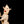 Load image into Gallery viewer, MY FOUR HEADS