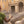 Load image into Gallery viewer, SALTY FEET: PASSEGGIATE ROMANE