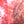 Load image into Gallery viewer, RENCONTRE DU 3e ÂGE