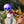 Load image into Gallery viewer, STILL LIFE
