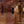 Load image into Gallery viewer, WISDOM