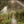 Load image into Gallery viewer, TO TASTE THE GROUND