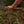 Load image into Gallery viewer, TO TASTE THE GROUND