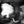 Load image into Gallery viewer, TANGLE /ECHEVEAU (Kal f)