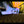 Load image into Gallery viewer, THE LAND BEHIND