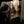 Load image into Gallery viewer, LE TOUCHER SUR IMAGE