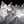 Load image into Gallery viewer, UNE MINUTE DE BLANCHEUR JUSTE AVANT...
