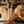 Load image into Gallery viewer, WASHED MY HANDS OF IT