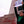 Load image into Gallery viewer, ALERTA . ALERTA . ALERTA