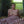 Load image into Gallery viewer, ANHEDONIA