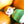 Load image into Gallery viewer, BILDO
