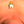 Load image into Gallery viewer, BILDO