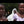 Load image into Gallery viewer, CARAVANE / CARAVAN