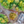 Load image into Gallery viewer, DISLOCATION