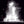 Load image into Gallery viewer, NOCTURNA