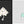 Load image into Gallery viewer, LA GRILLE THE GRID