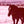 Load image into Gallery viewer, HORSES (AFTER PATTI SMITH