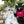 Load image into Gallery viewer, HUMANIMALS