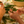 Load image into Gallery viewer, TANT QU’IL Y AURA DES FRAMBOISES