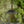 Load image into Gallery viewer, LA MÉDUSE DU LAC